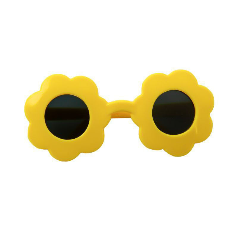 Lunettes de soleil pour animaux de compagnie
