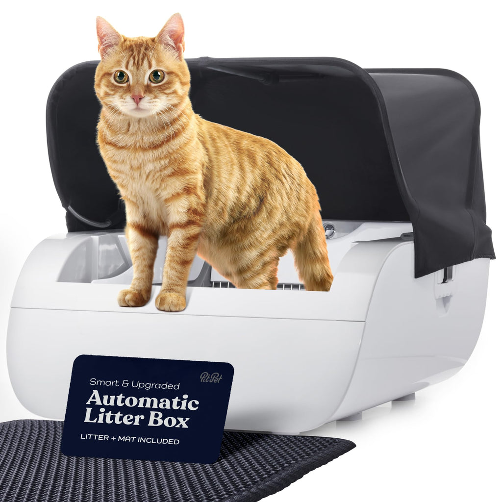 Smart Cat Litter Box Cat Litter Box Ouverture large