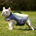 Maillot de bain de chien réfléchissant Veste de vie