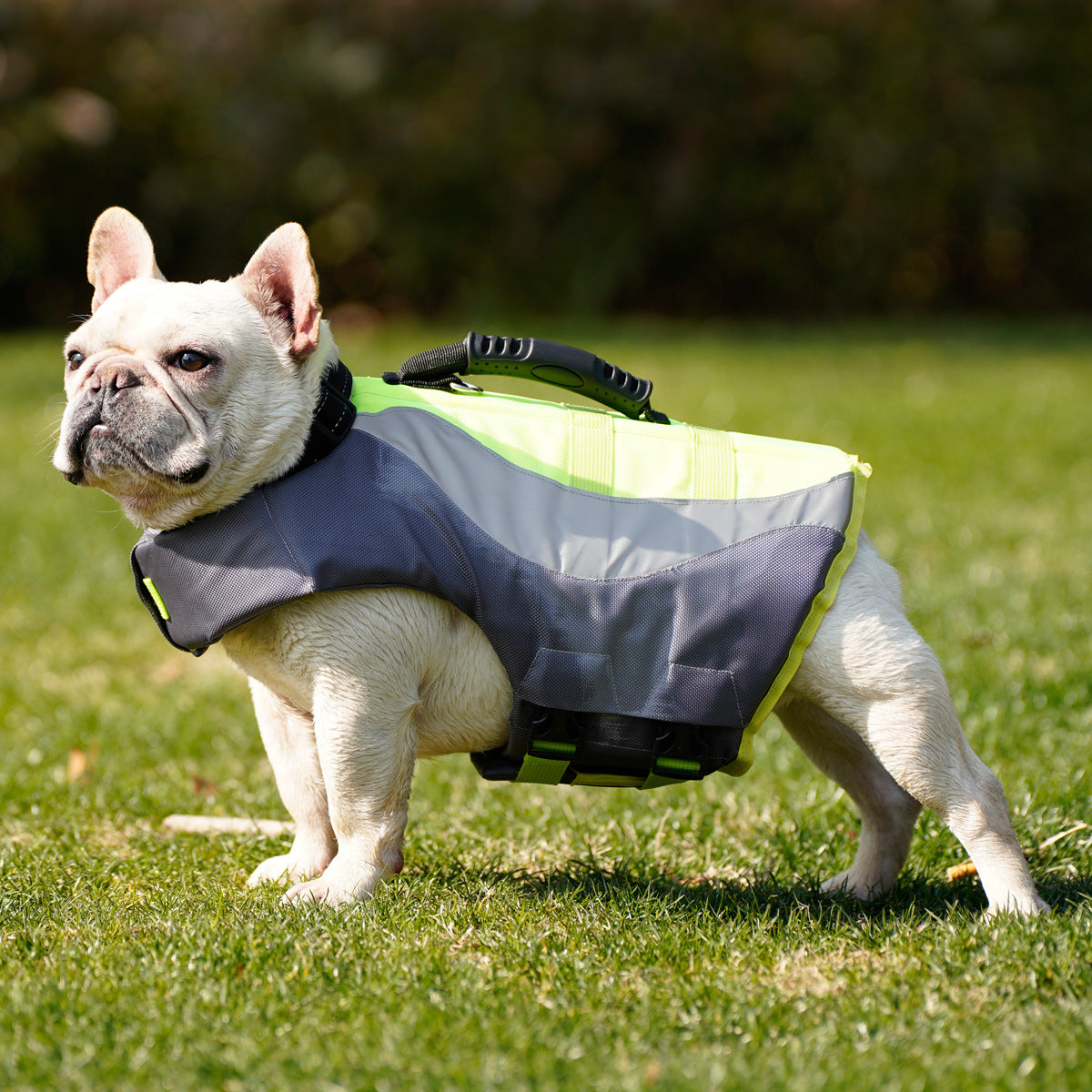 Maillot de bain de chien réfléchissant Veste de vie