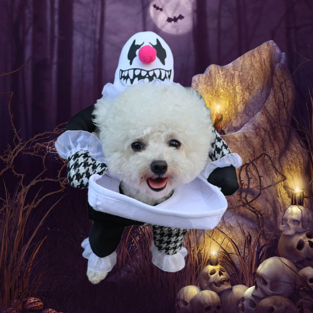Costume d'Halloween pour animaux de compagnie Photo Props Demon Transformation