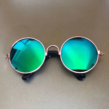 Lunettes de soleil pour chats