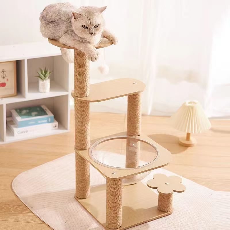 Balda d'espace de lit Cat universel tout-saison