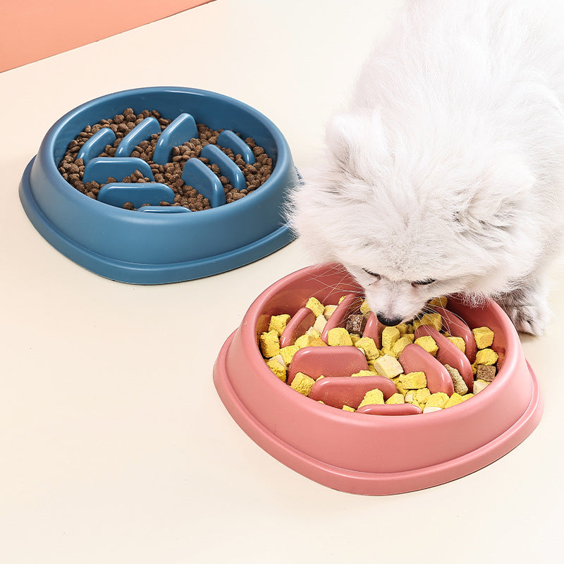 Bateau de chien Cat Slow Feeder Bowl Anti-choking Slow Feeder Pour les chiens Grande capacité alimentaire