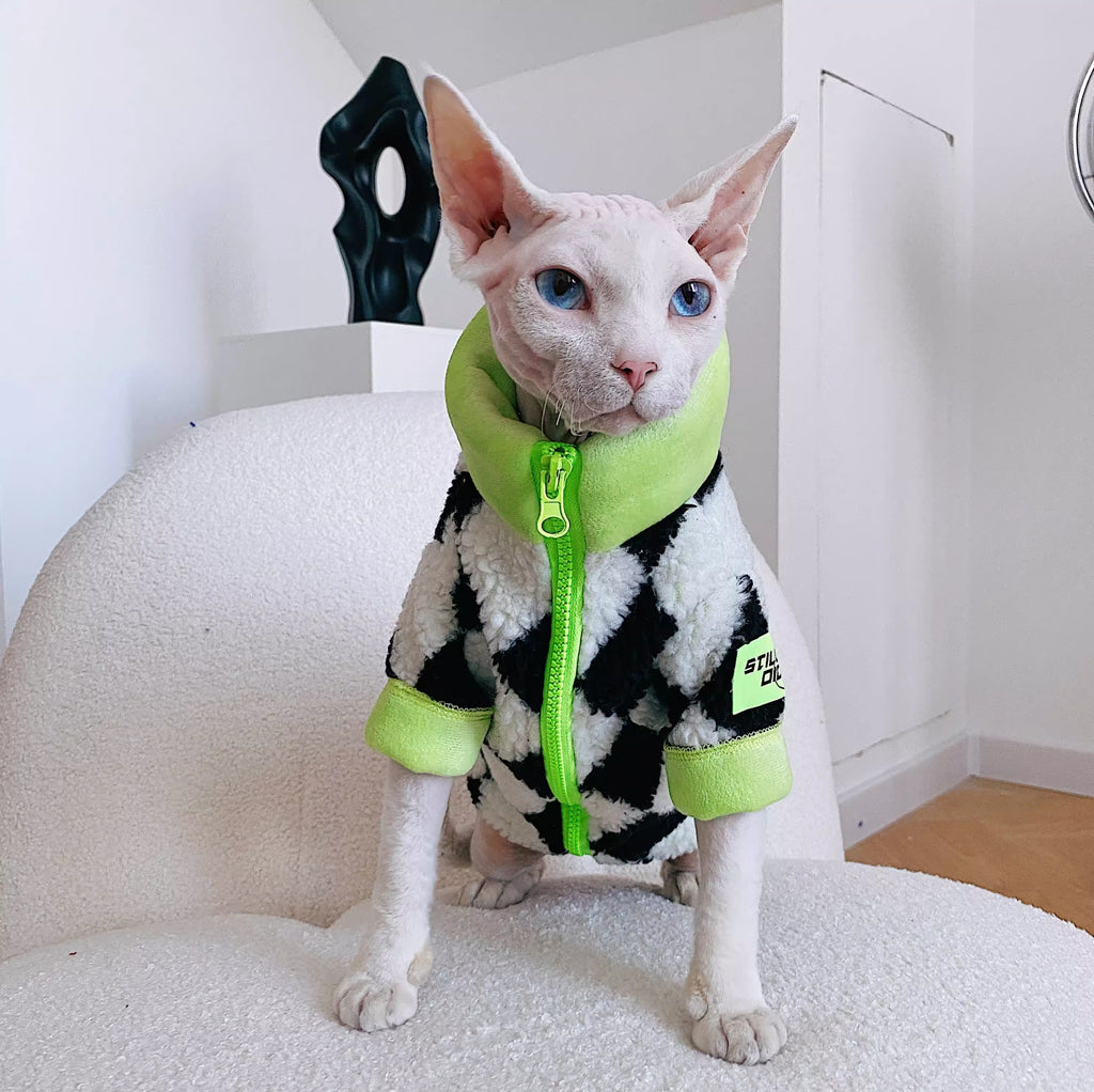 Chat sans cheveux Sphynx Devon hiver chaud agneaux lignés polaires wool Ultra-Tick Manteau