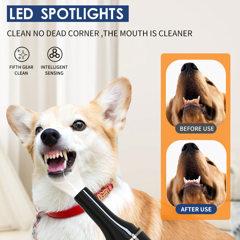 Pet dental scaler for dogs and cats, ultrasonic device
