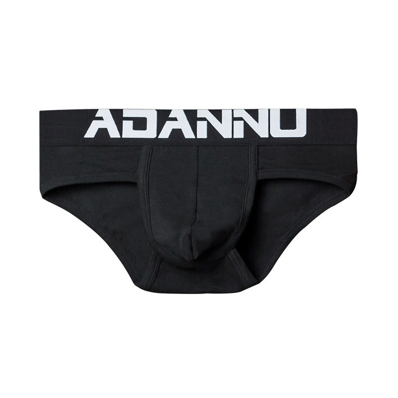 Slip homme Sexy Pure Cotton Confortable Simple Trendy Lettres Basse taille Respirant U Pou