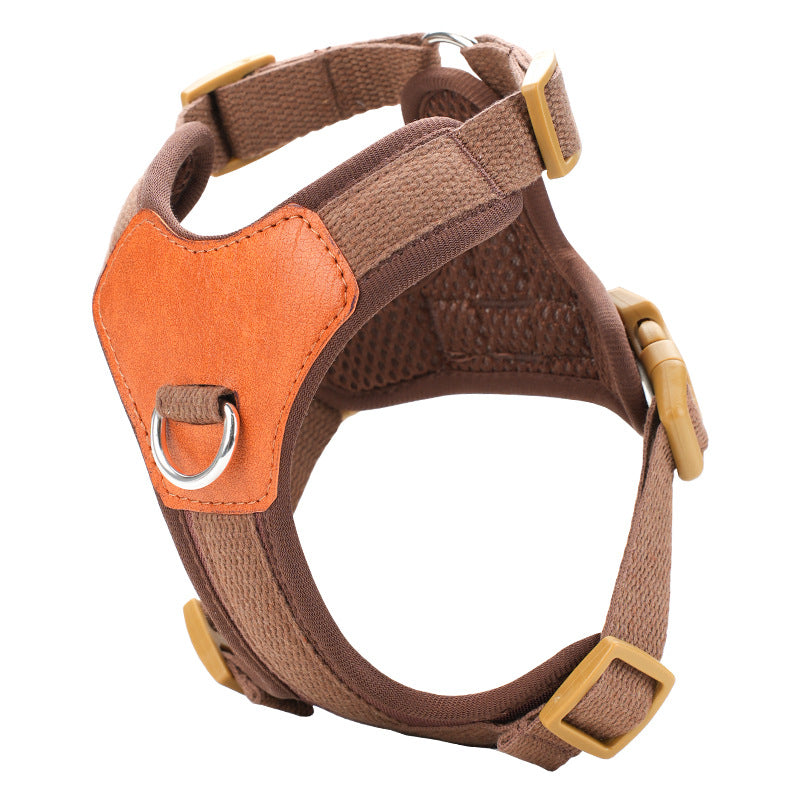 Harnais retro pour chien tenant la main