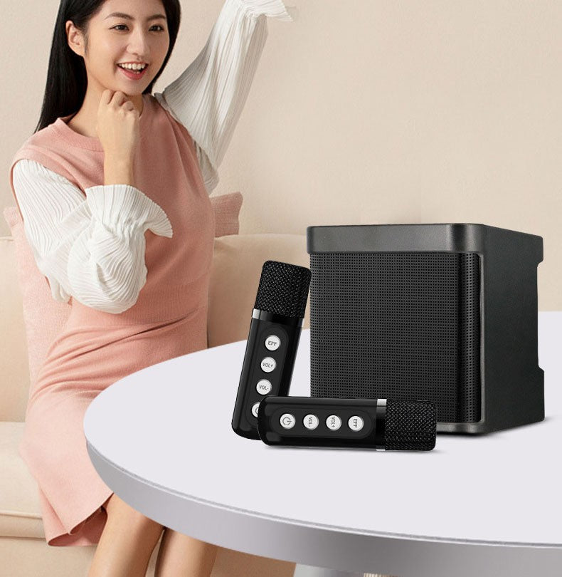 Haut-parleur de karaoké Bluetooth portable avec 2 microphones sans fil