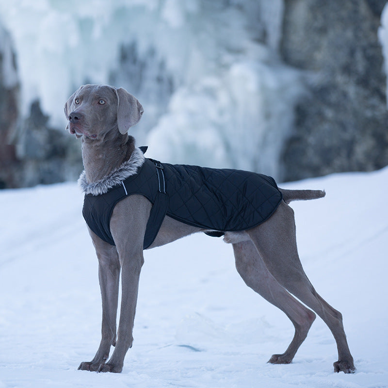 Vêtements pour animaux de compagnie Coton Coats Vente en gros