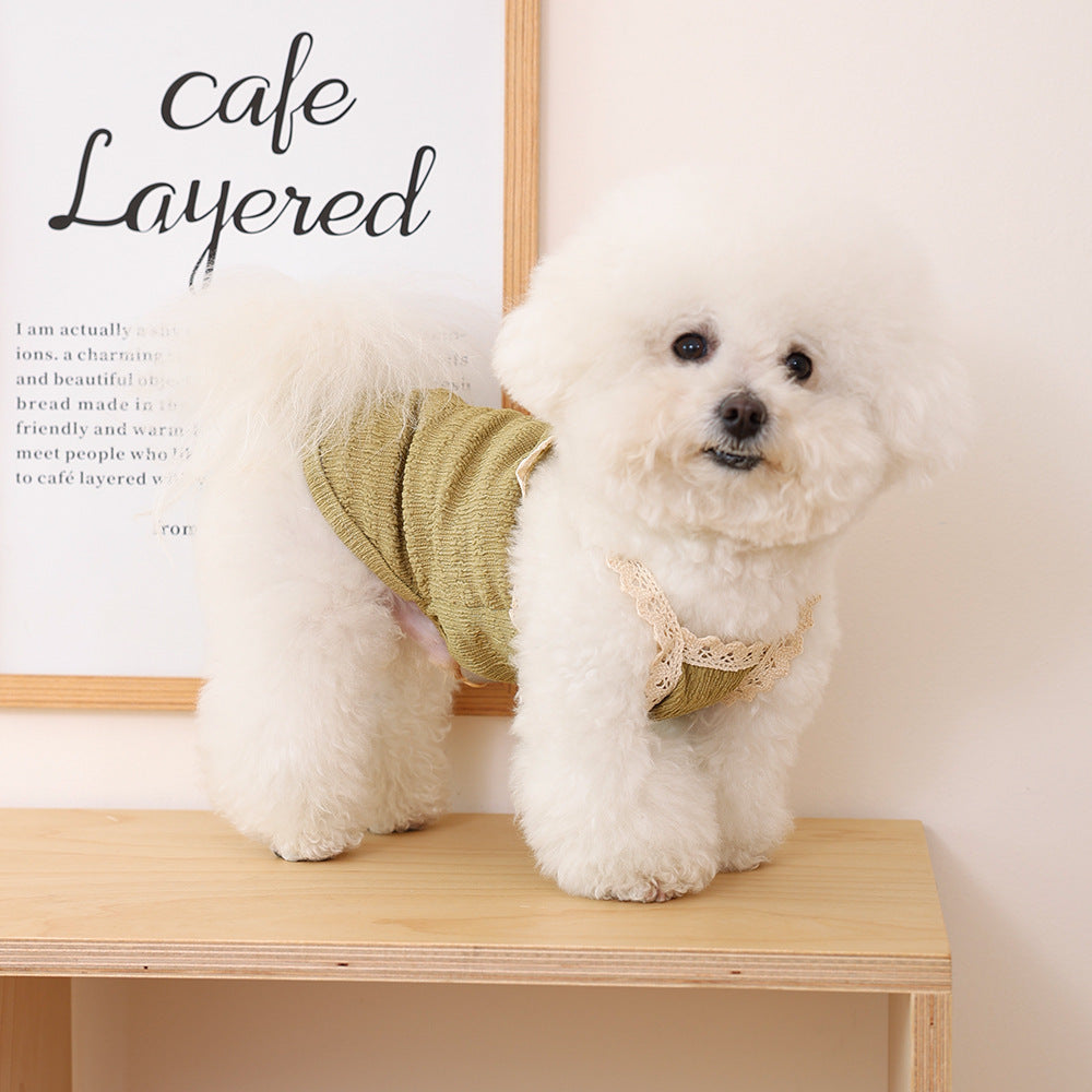 Vêtements pour chiens et chats