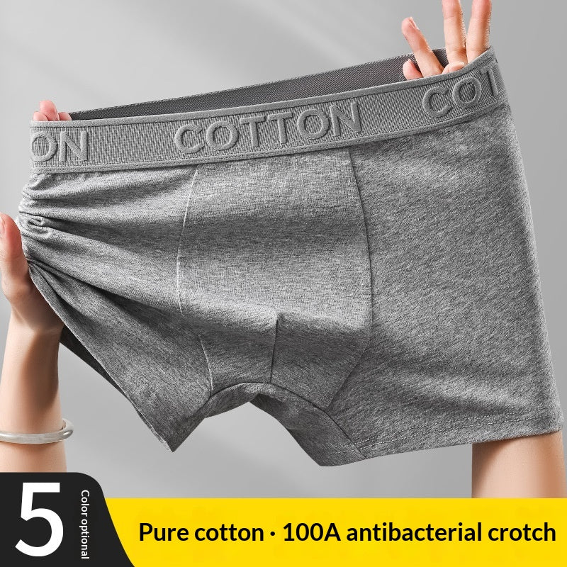 Boxer en coton antibactérien haut de gamme pour hommes
