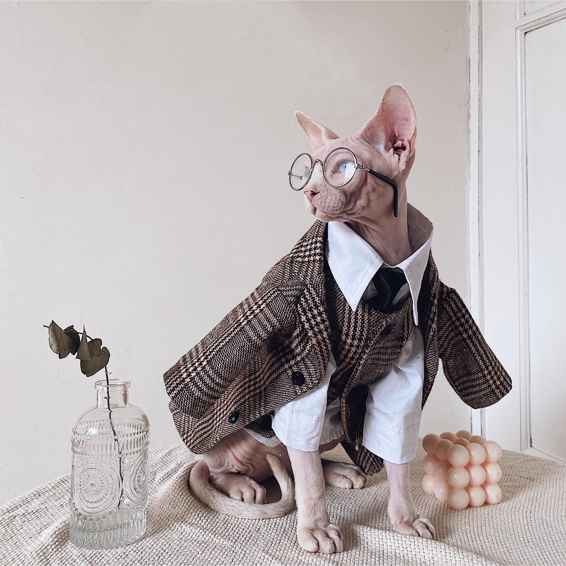 Robe de chat Sphynx Tie Vest Blazer Set pour chats sans cheveux