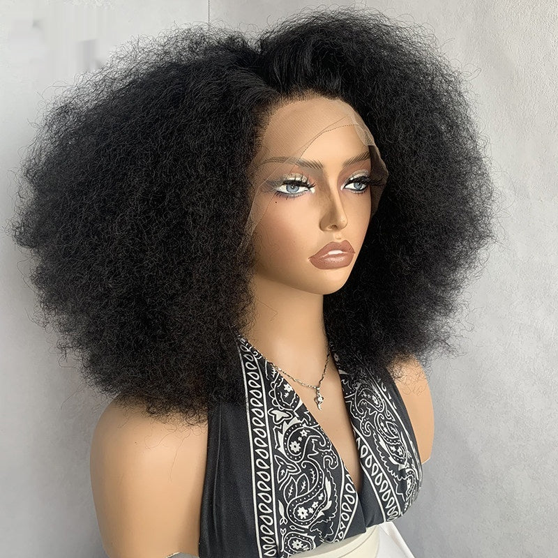 Afro Kinky Curly 80 Mélanger les cheveux humains Perruques Afro Kinky