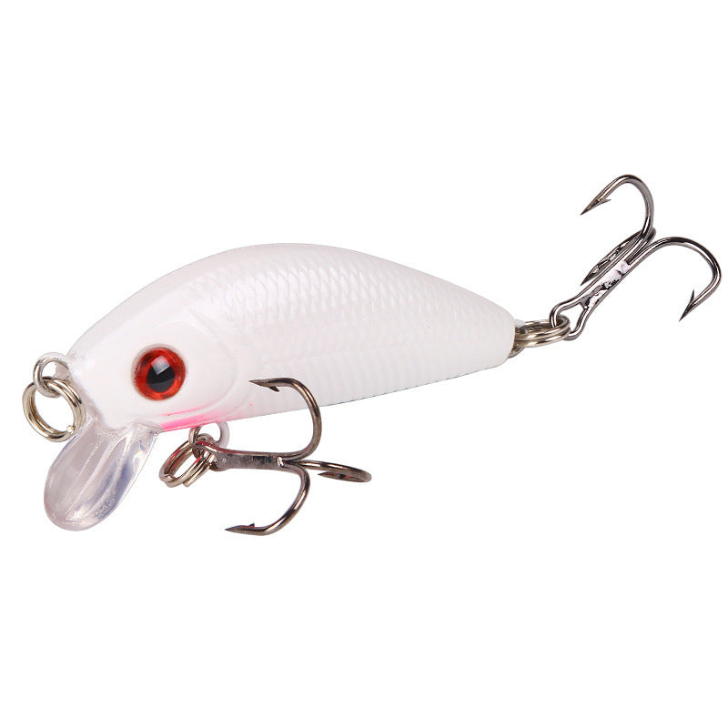 Luya Bait Mini Micro-hard Bait Pêche en eau douce