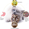 Bâton matatabi chat avec balle cataire et grelot, jouet à mâcher