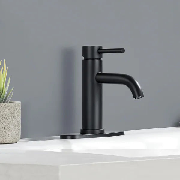 Robinet de toilette à poignée unique Robinet de lavoir en acier inoxydable Trou unique-T10