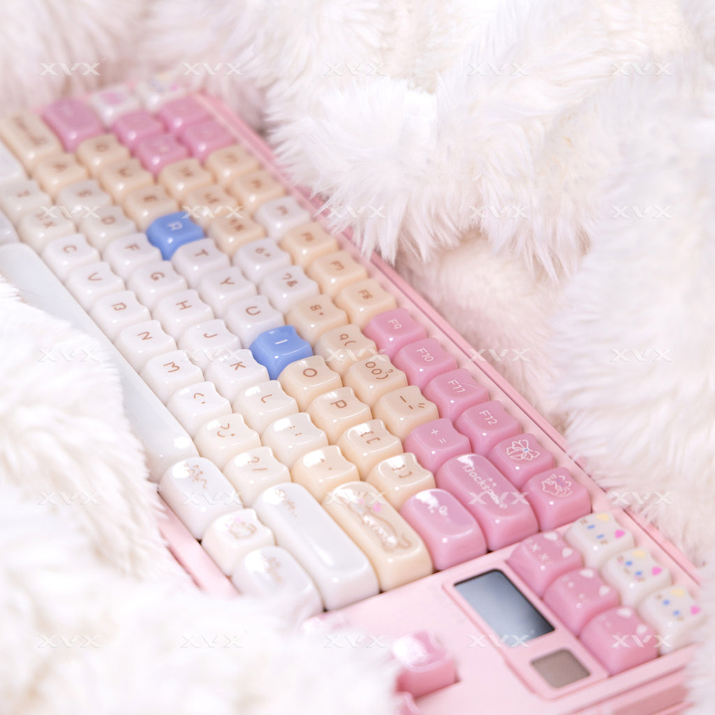 Ragdoll Cat Mignon Clavier de couleur claire