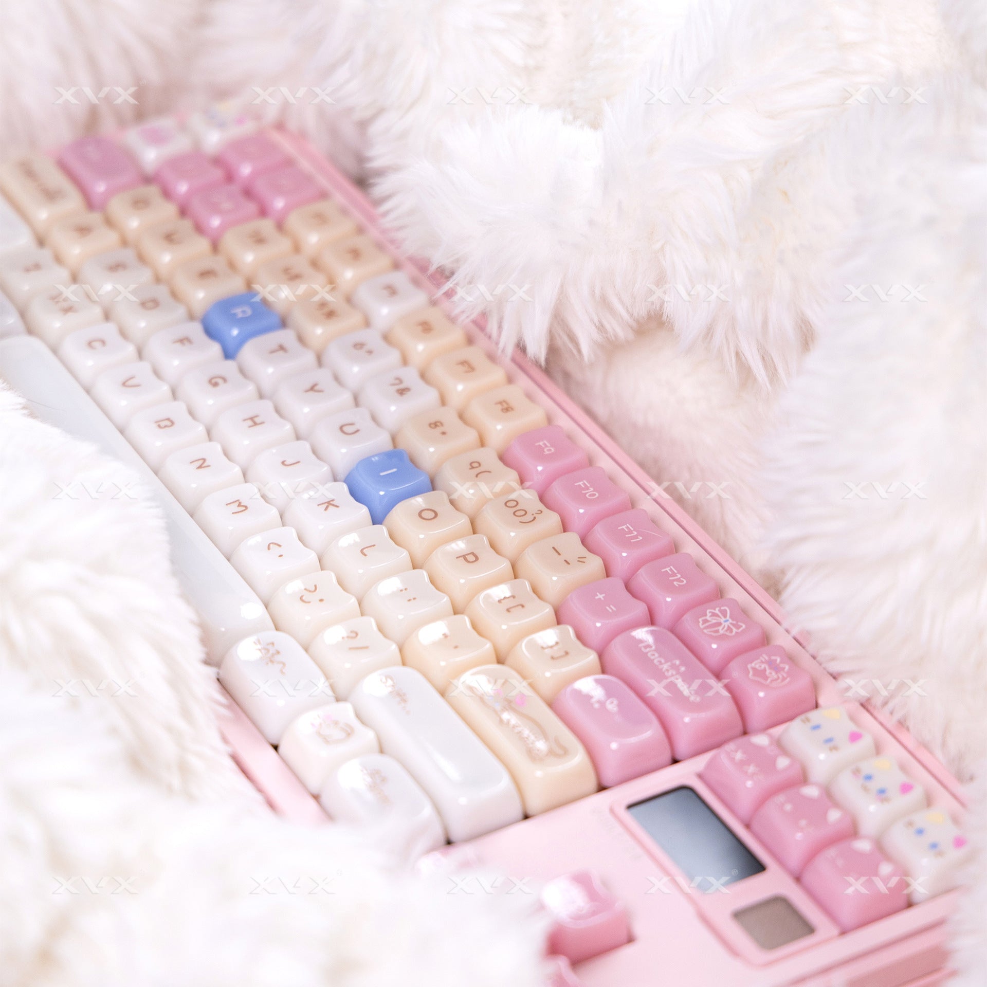 Ragdoll Cat Mignon Clavier de couleur claire