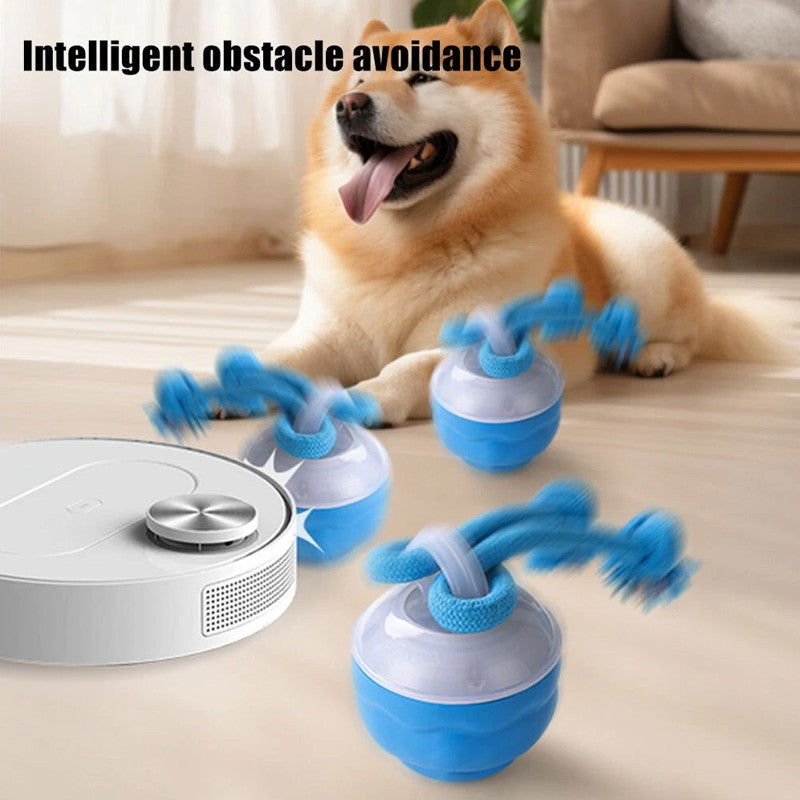La Chase Buddy Dog Boredom Jouet stimulant Smart Pet Puppy Ball avec des ropes