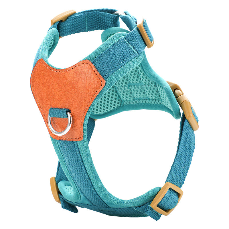 Harnais retro pour chien tenant la main