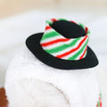 Déguisement de Noël pour petits chiens