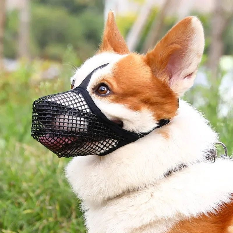 Mesh Breathable Dog Muzzle