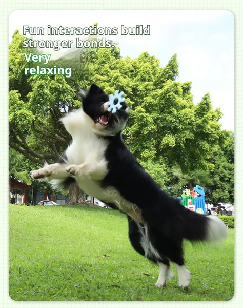 Interactive Flying Pet