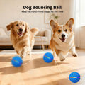 Balle interactive de jouets pour chiens