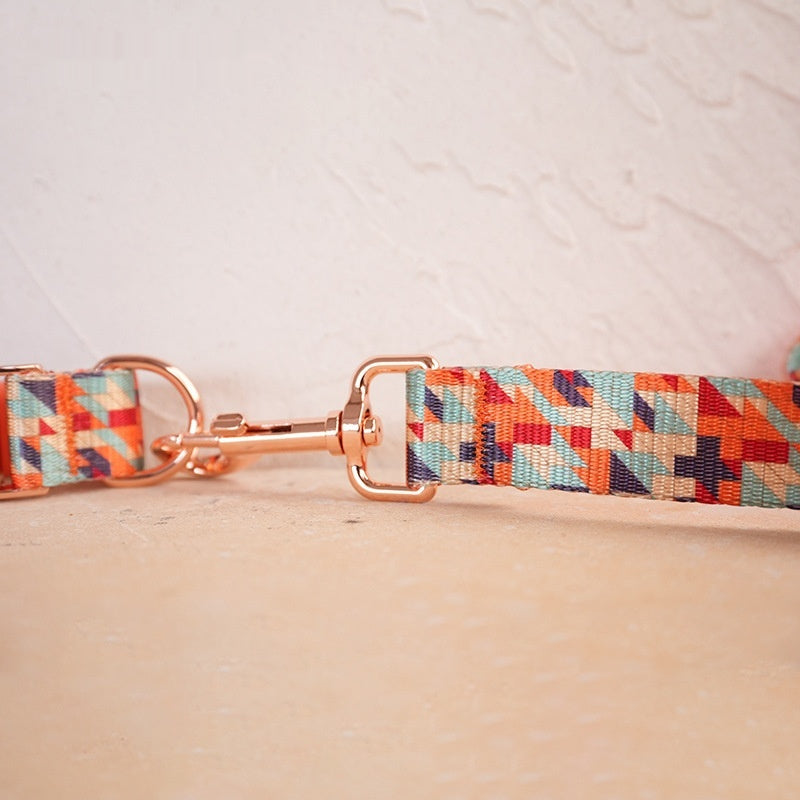 Collier et jeu de laisses pour chien doux et confortable