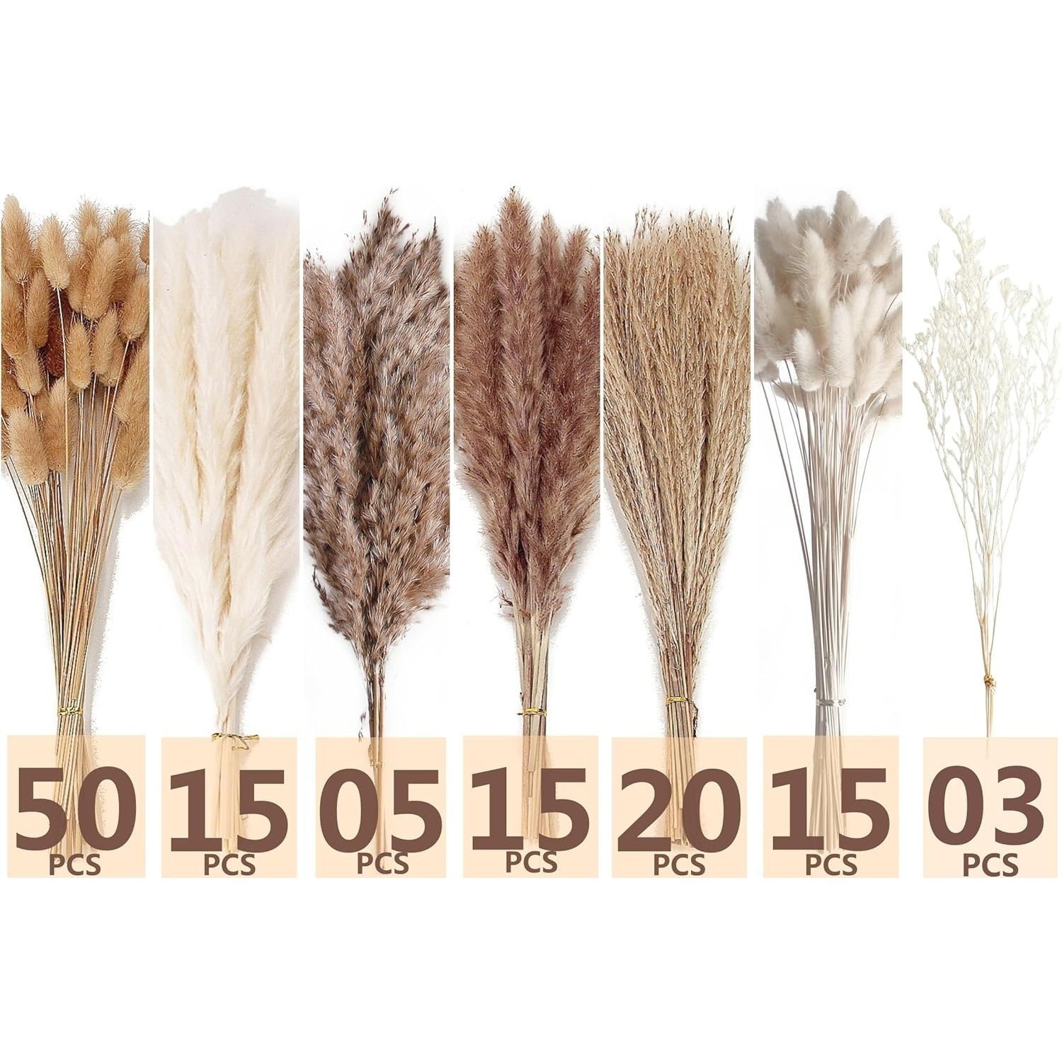 Ensemble de 128 décors d'herbes de pampas séchés