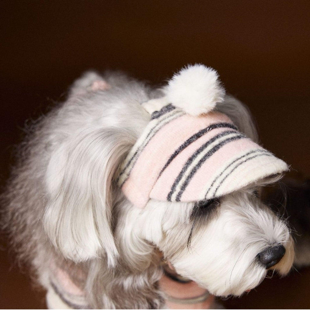 Accessoires pour animaux Chapeau de boule en fourrure rayée
