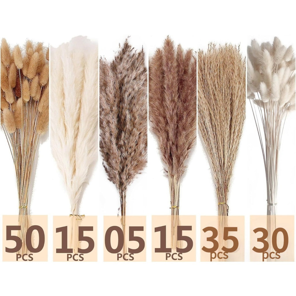 Bouquet décoratif Pampas de 150 piece