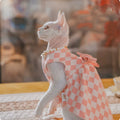 Sans cheveux Cat Devon Cat Kitten Vêtements British Style Robe