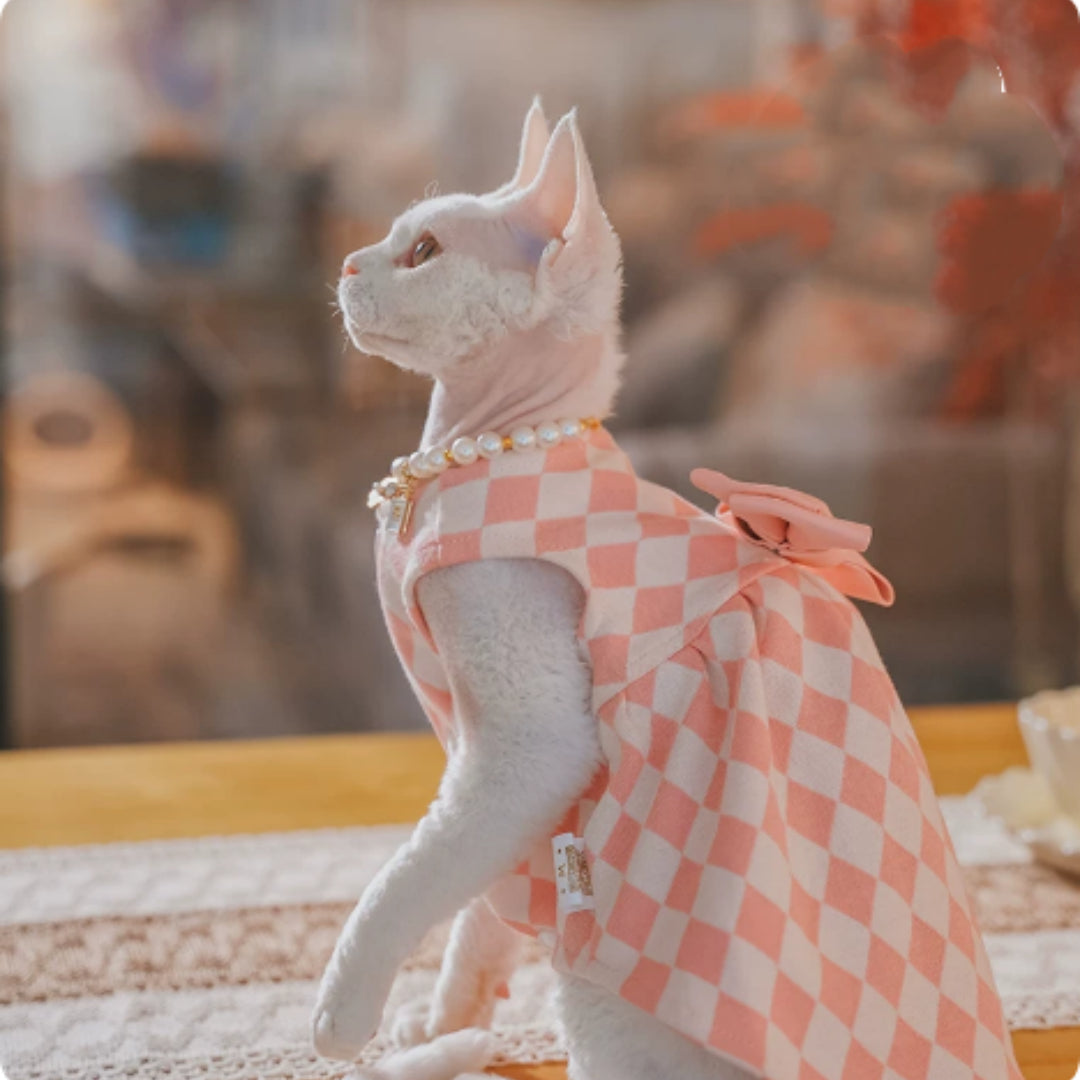 Sans cheveux Cat Devon Cat Kitten Vêtements British Style Robe
