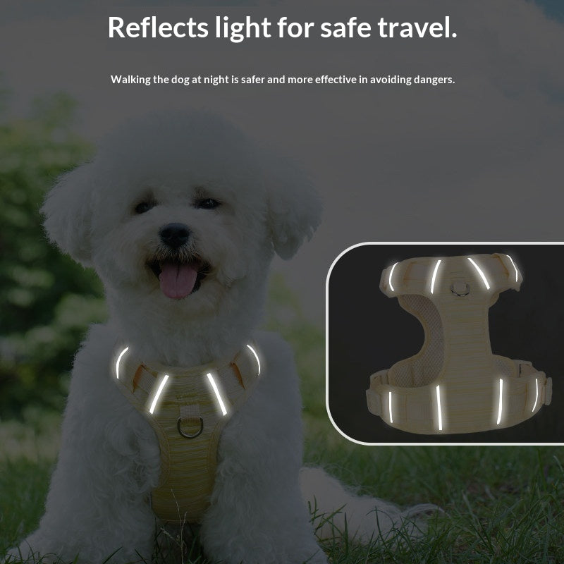 Corde de maintien des mains de chien