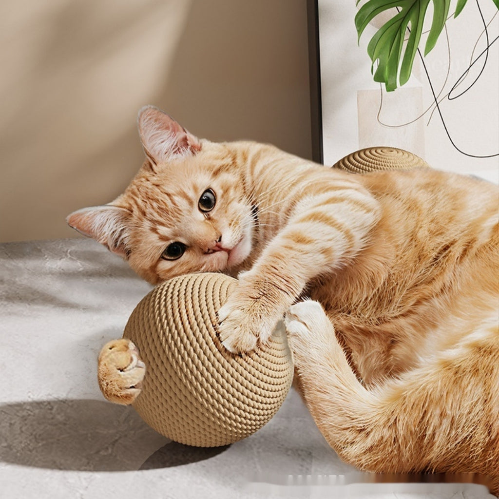 Jouet de chat sisal robuste et résistant aux rayures Un jouet polyvalent résistant à l'usure