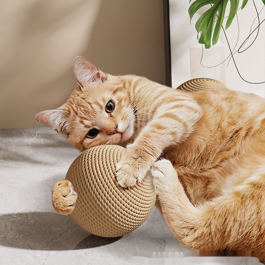 Jouet de chat sisal robuste et résistant aux rayures Un jouet polyvalent résistant à l'usure