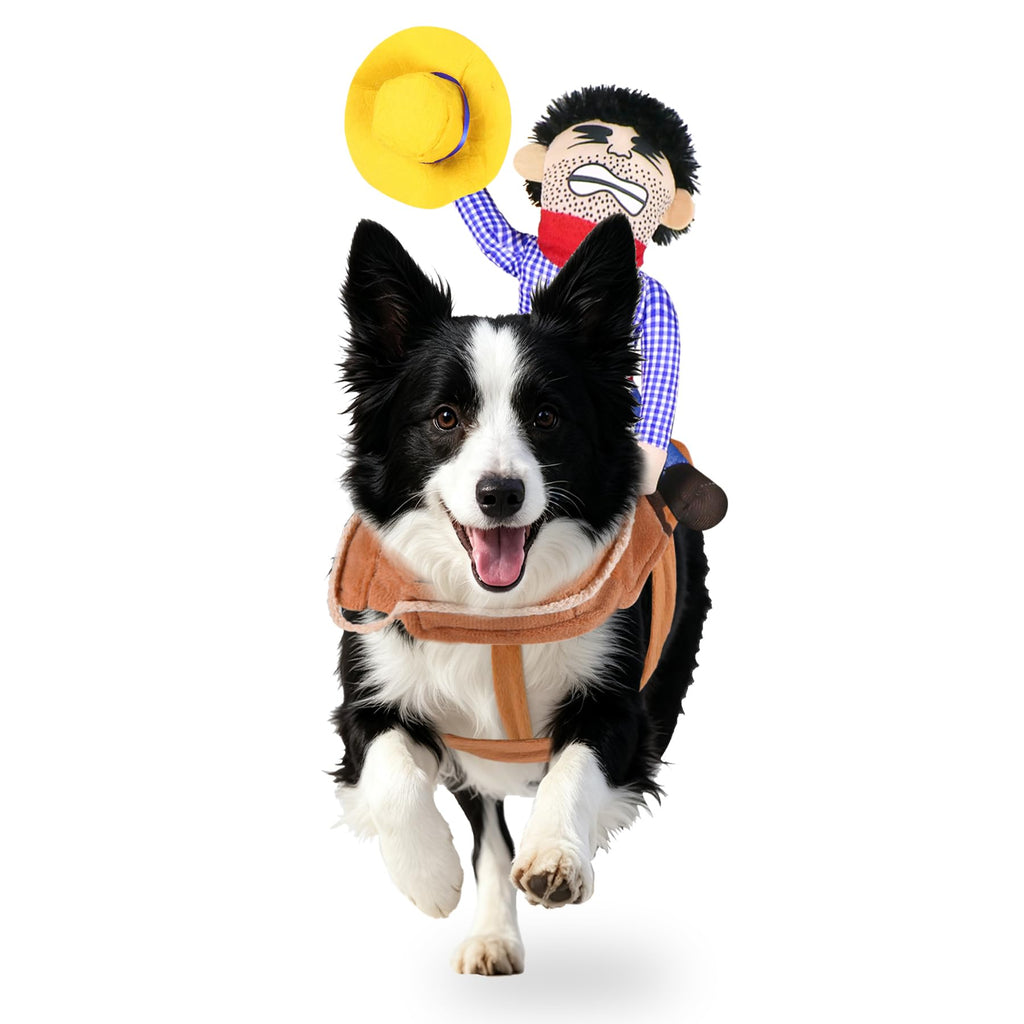 Costumes d'Halloween pour chiens