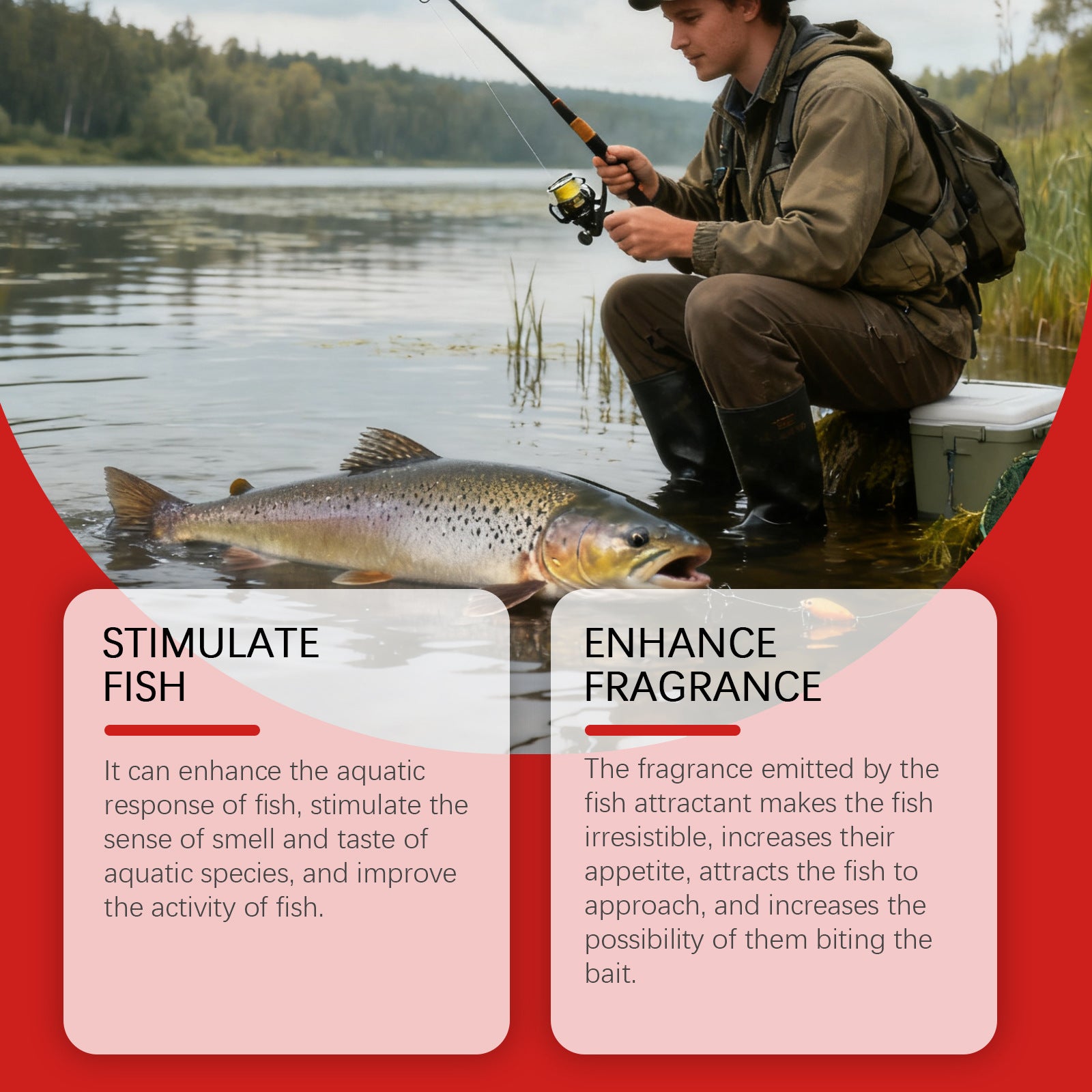 Appât universel époustouflant de poisson