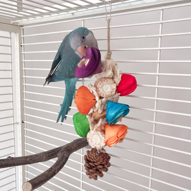 Matériel naturel Jouet de perroquet Pendentif de cage d'oiseau