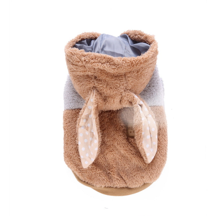 Vêtements d'hiver populaires pour animaux de compagnie