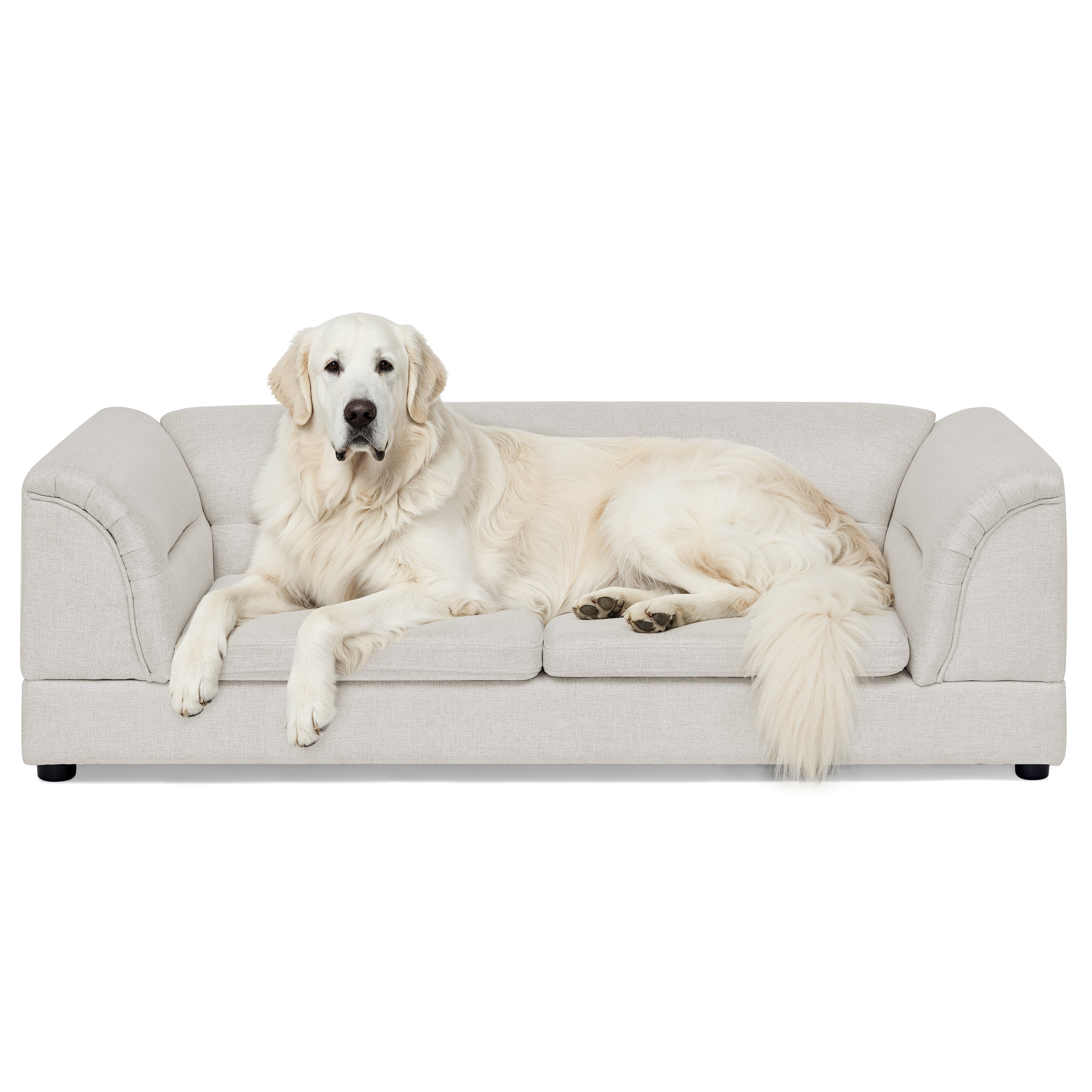 Sofa surdimensionné pour animaux de compagnie