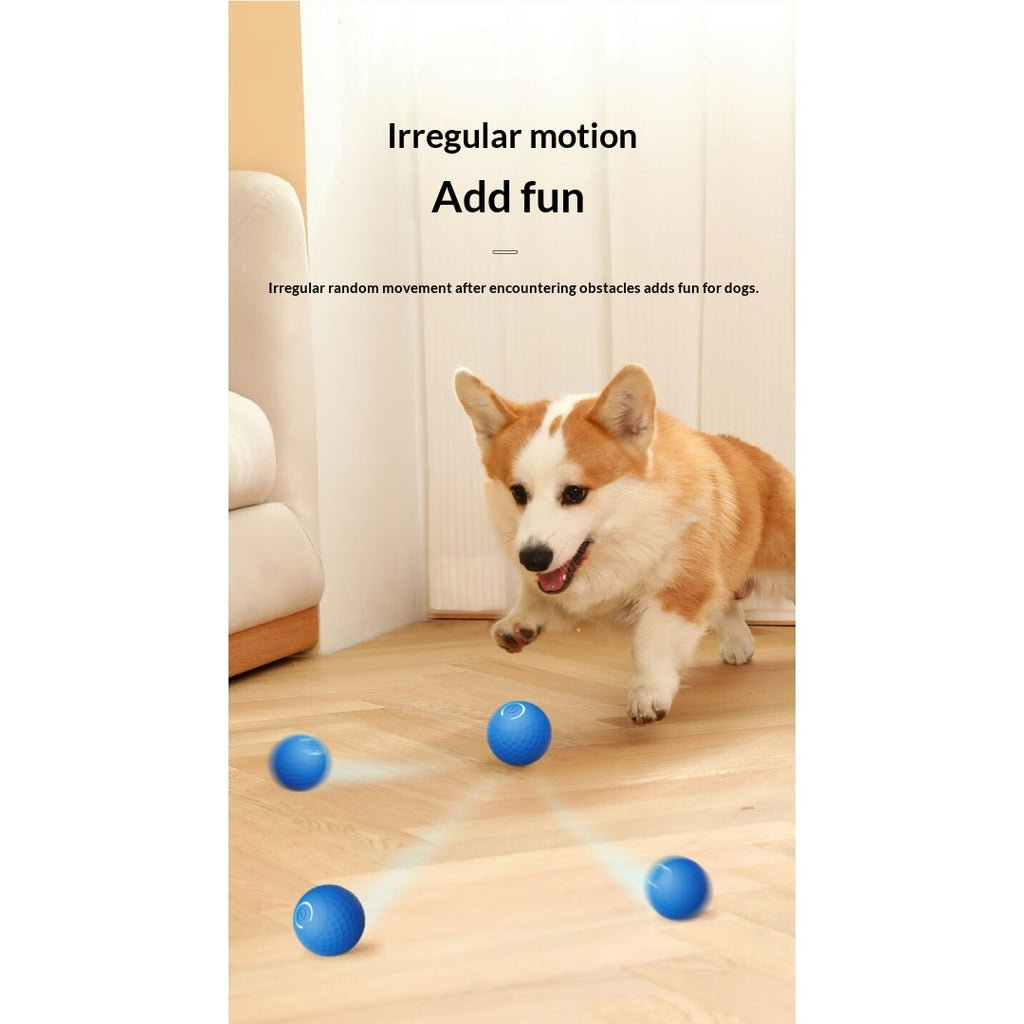 Boule de jouet électrique interactive pour chien gravitationnelle pour self-play