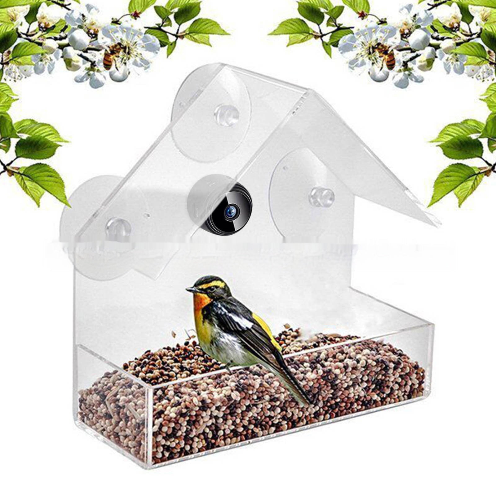 Pet Smart Feeder Surveillance en temps réel en plein air avec caméra HD