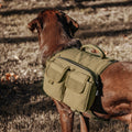 Sac à dos de randonnée adapté pour les chiens moyens à grands comme un porte-animaux de plein air