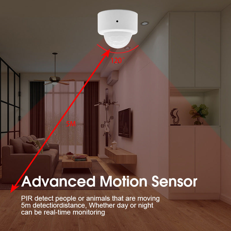 Zigbee PIR détecteur infrarouge de mouvement du corps humain pour la maison intelligente