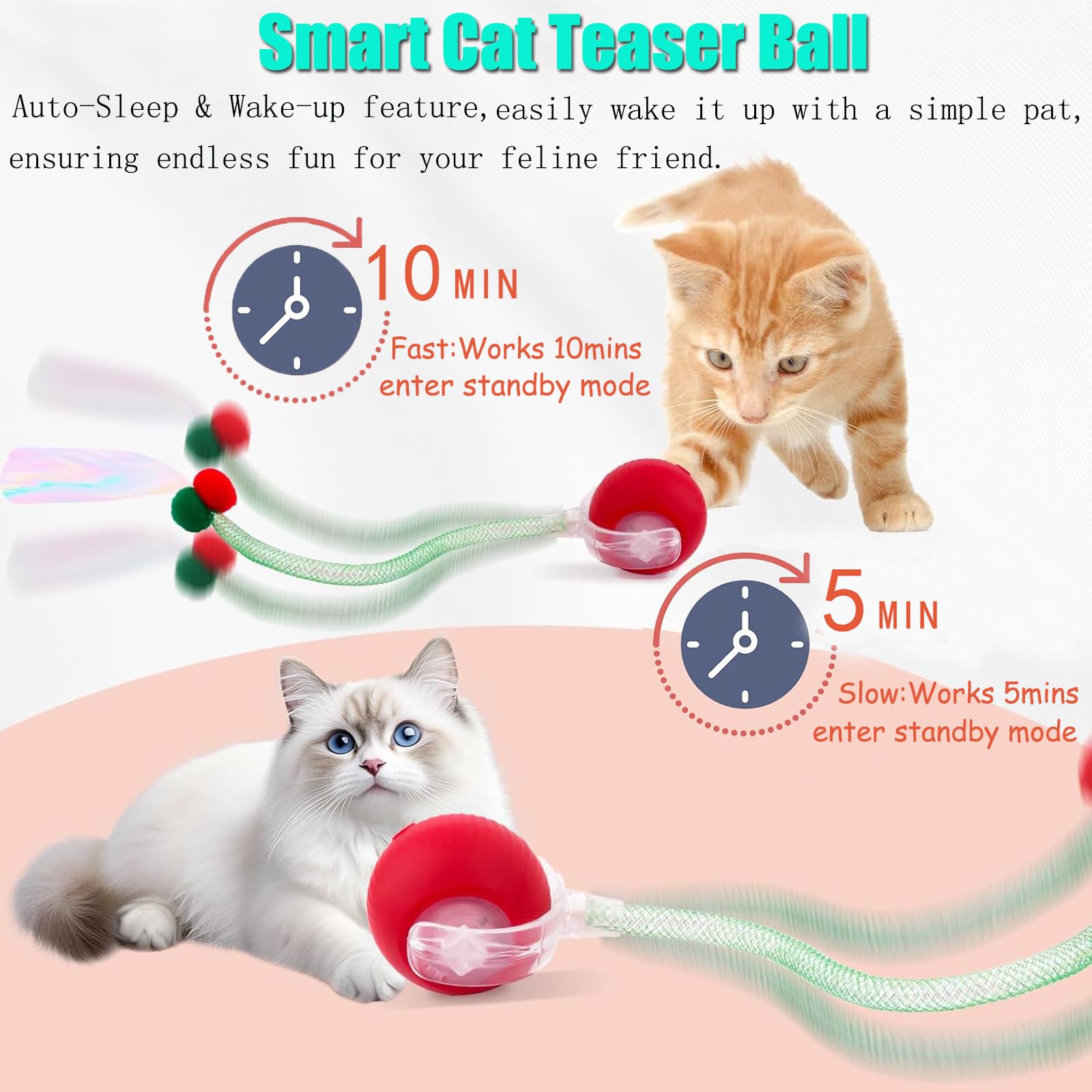 Jouets interactifs pour chats de queue pour chats d'intérieur