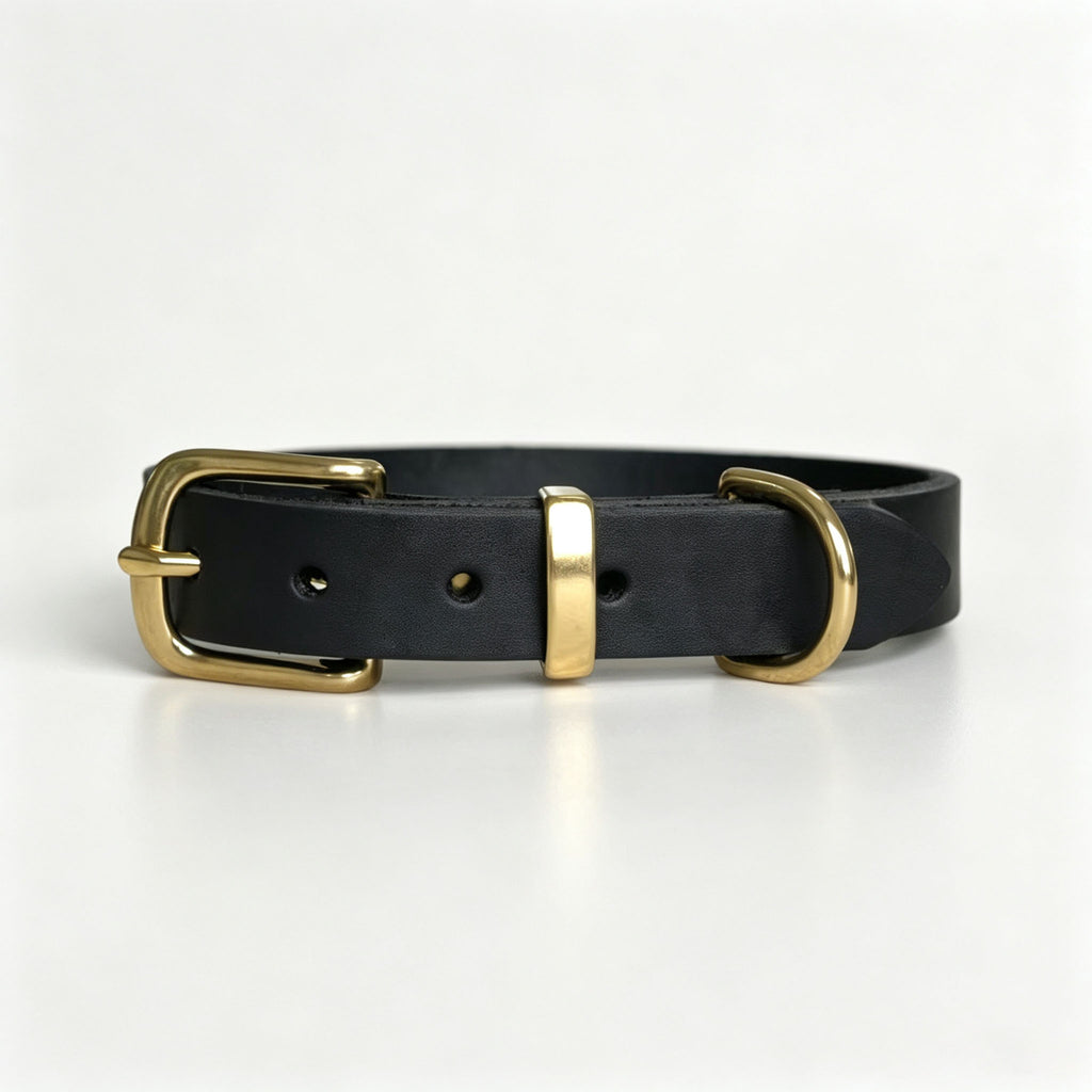 Collier pour animaux de style vintage avec fixations en laiton