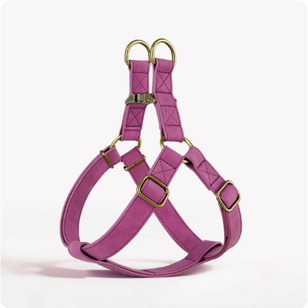 Harnais pour chiens de style Veste pour chiens de petite et moyenne taille